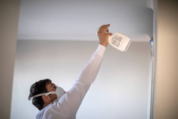 Best Office Mold Removal Services  in Argos, IN