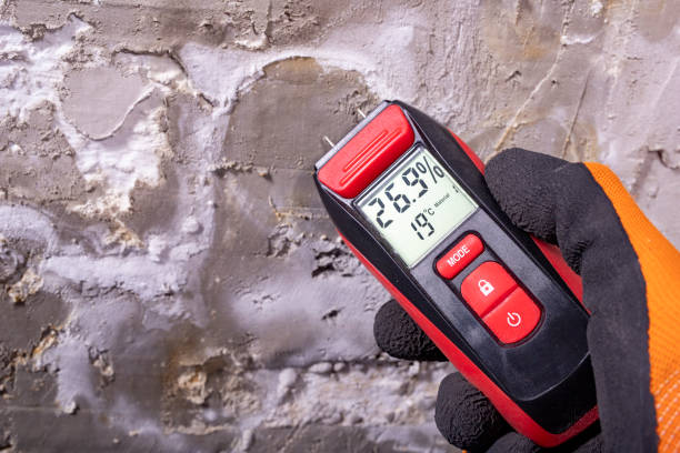 Best Mold Remediation  in Argos, IN